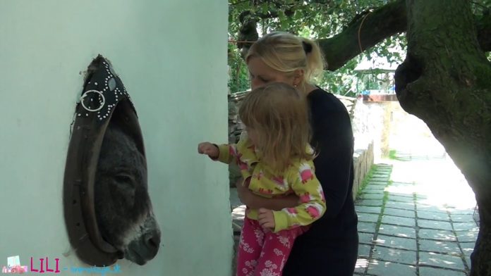 ZOO park Stropkov – štýlové miesto, kde horúčava nemá šancu