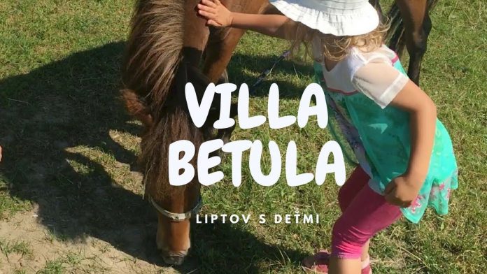Villa Betula na Liptove