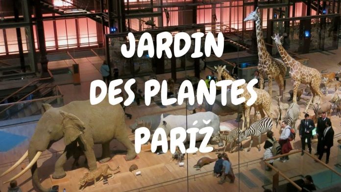 Jardin des Plantes v Paríži