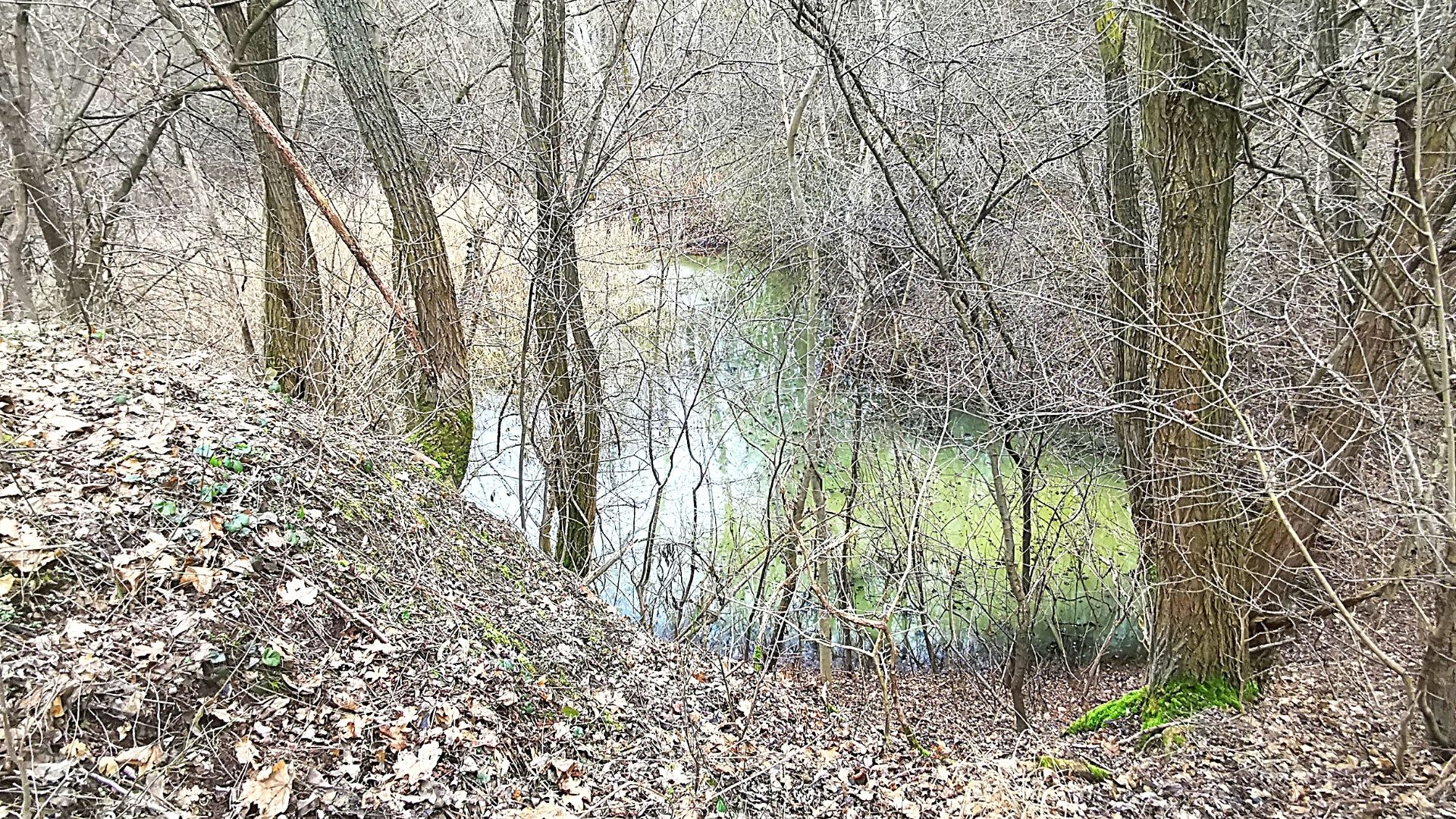 Jarovská bažantnica